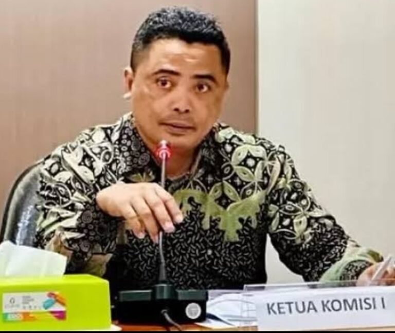 Ketua Komisi I DPRD NTB : Edukasi dan Kontrol Kunci Utama Cegah Anak Kecanduan Game Online