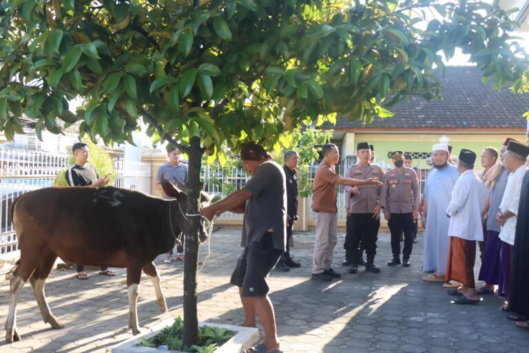 Kapolresta Mataram Serahkan Seekor Sapi Kurban untuk Warga Karang Taliwang 