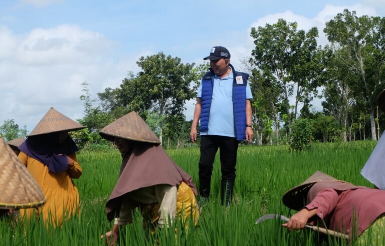 Ketahanan Pangan Kuat, Muazzim Akbar : Kita Kawal Harga Gabah dan  Pupuk Petani