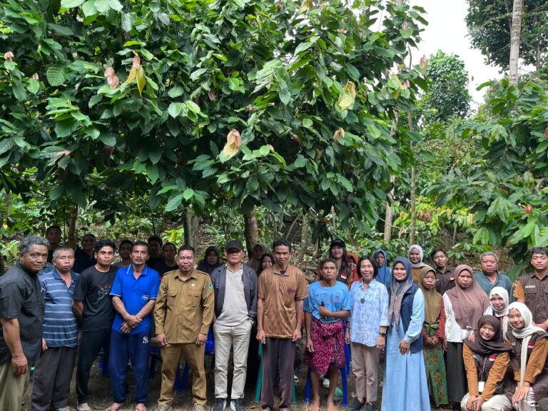 Bangkitkan Potensi Lokal, KKN UNRAM Bimbing Petani Desa Salut Kelola Kakao Berkelanjutan