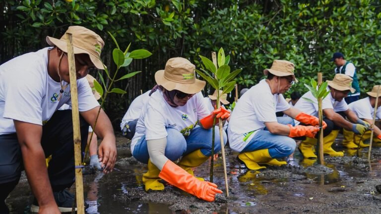 PLN Tanam lebih dari 5.000 Pohon untuk Hijaukan Pesisir Lombok Timur 