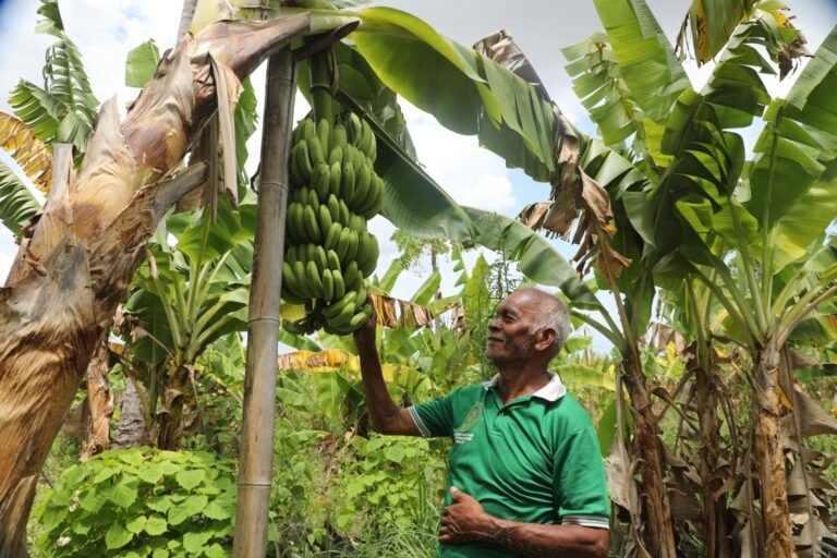 Reforma Agraria Ubah Pola Pikir Warga Desa Baumata di Kabupaten Kupang, Hasilkan Peningkatan Penghasilan Petani