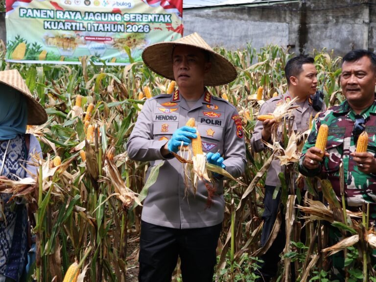Panen Raya Jagung Serentak Kuartal I 2026, Kapolresta Mataram Tegaskan Komitmen Dukung Swasembada Pangan