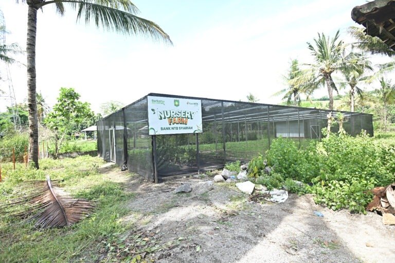 Bank NTB Syariah Hadiahkan Nursery Farm di Milad ke-67 Sumbawa