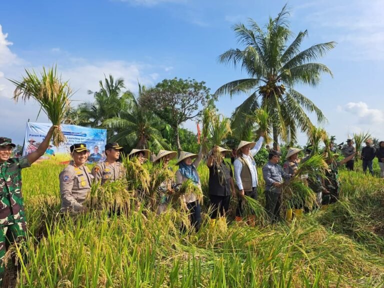 Ketahanan Pangan NTB Berpacu dari Produksi, Stok hingga Konsumsi