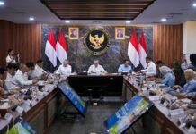 Wamen Ossy Laporkan Progres Dukungan KSPEAN Papua Selatan